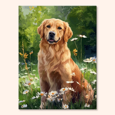 Golden Retriever wśród Stokrotek