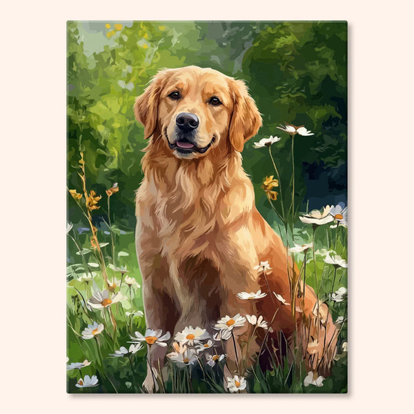 Golden Retriever wśród Stokrotek
