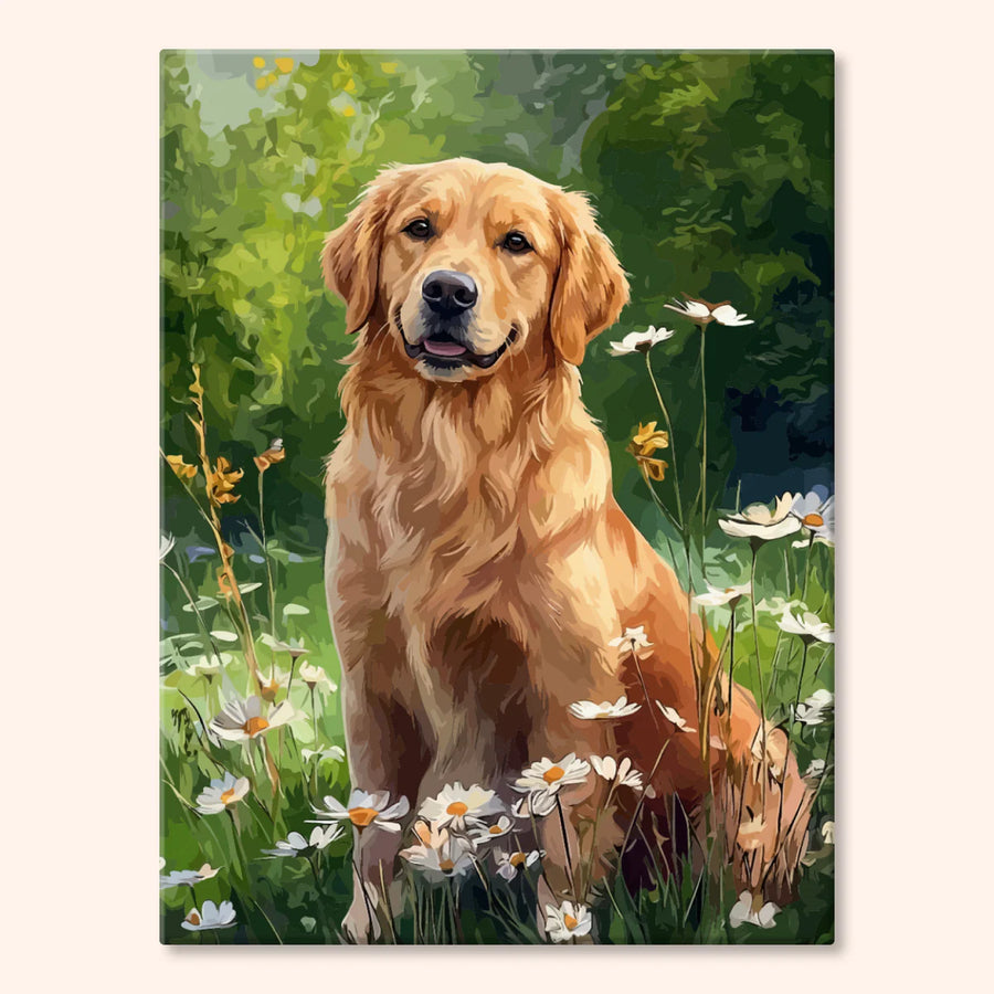 Golden Retriever wśród Stokrotek