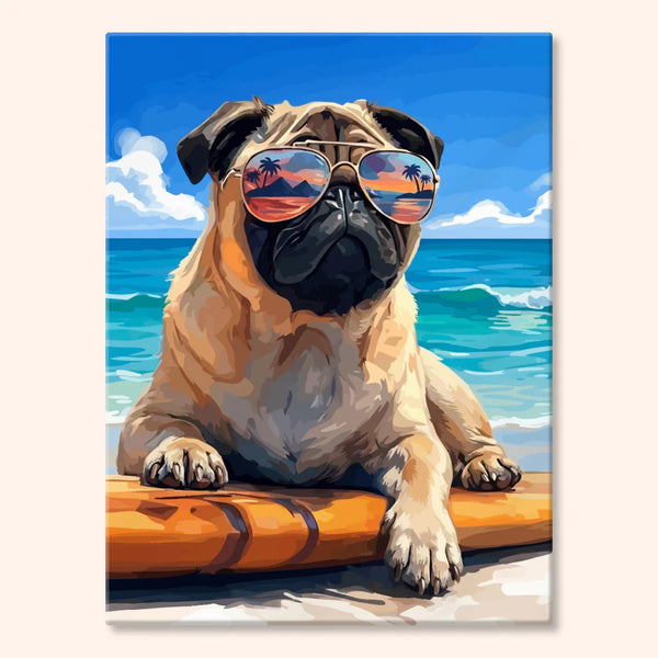Mops Surfer na Plaży